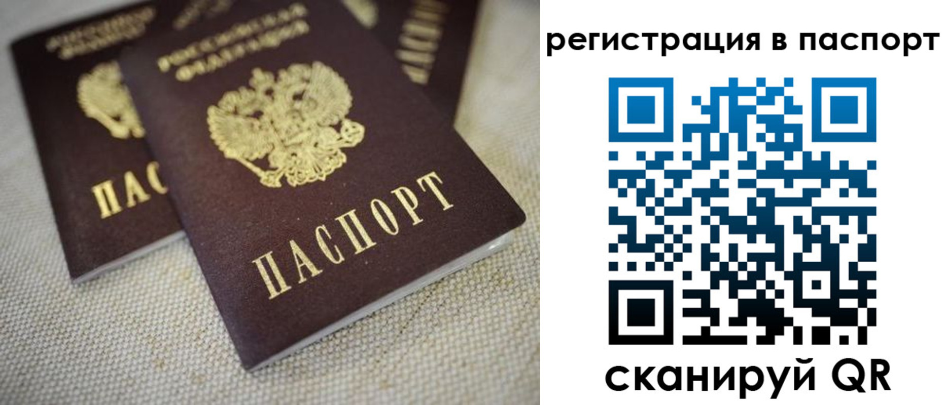 прописка гарантия в Дятьково